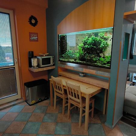 Suk Apartman 24 Suchdol nad Luznici Zewnętrze zdjęcie