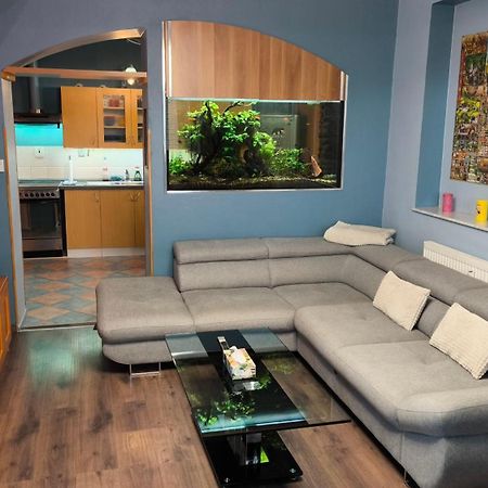 Suk Apartman 24 Suchdol nad Luznici Zewnętrze zdjęcie